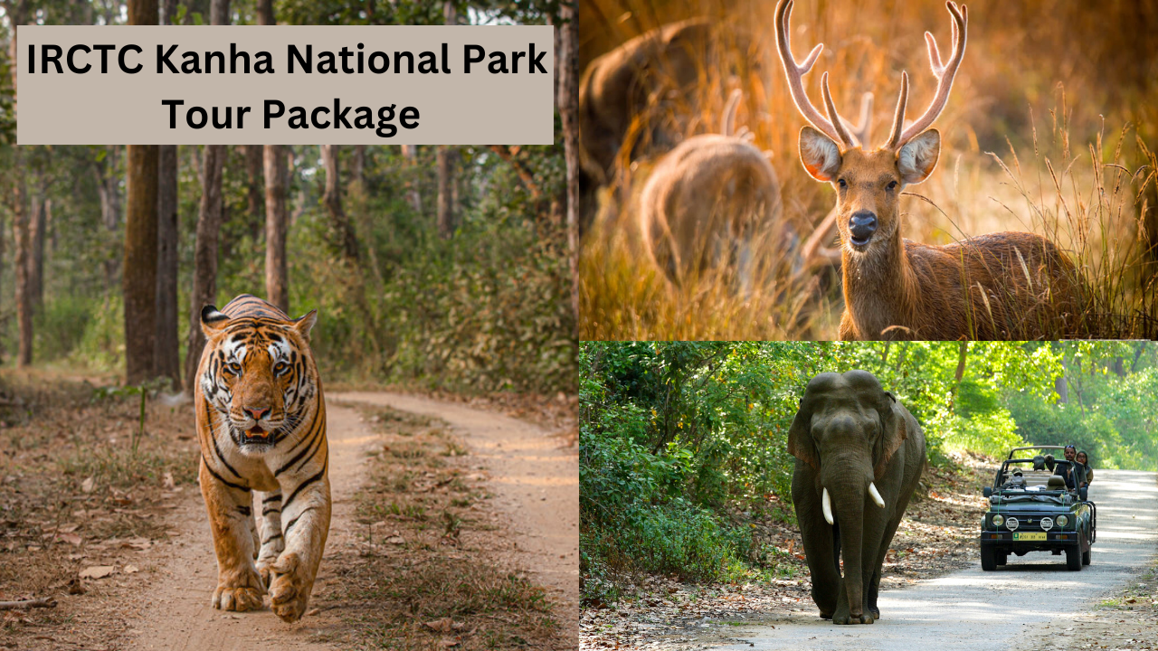 IRCTC Kanha National Park