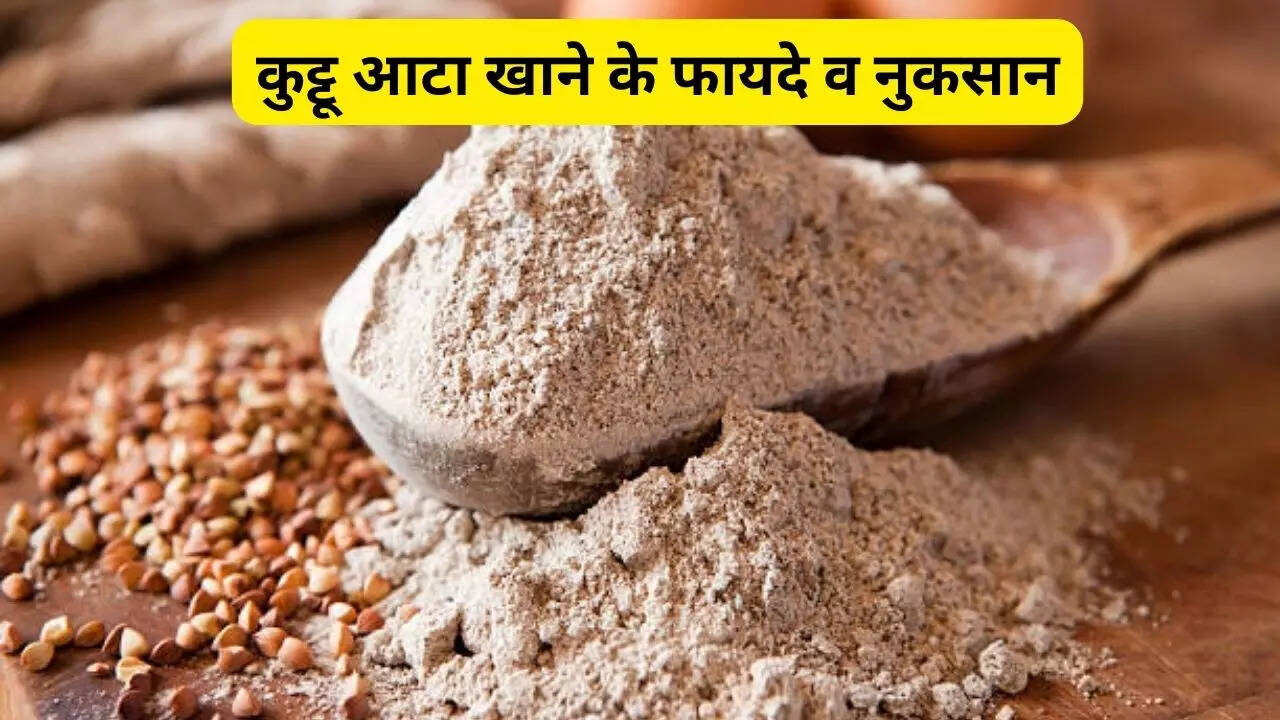 Buckwheat Flour Benefits For skin, Weight loss, health In Hindi Kuttu