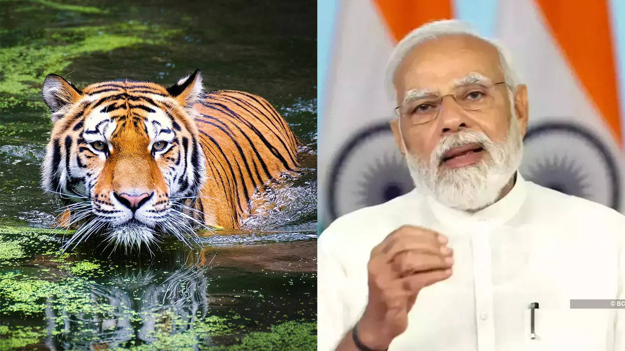 Project Tiger, PM Narendra Modi