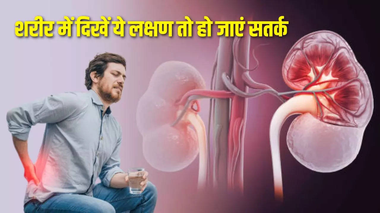 kidney disease, chronic kidney disease, kidney, kidney disease treatment, prevent kidney disease, kidney disease prevention