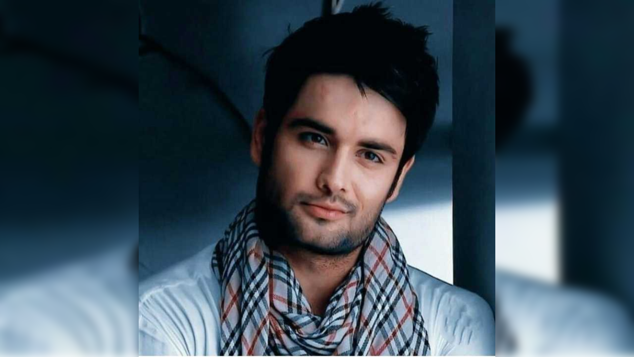 vivian dsena