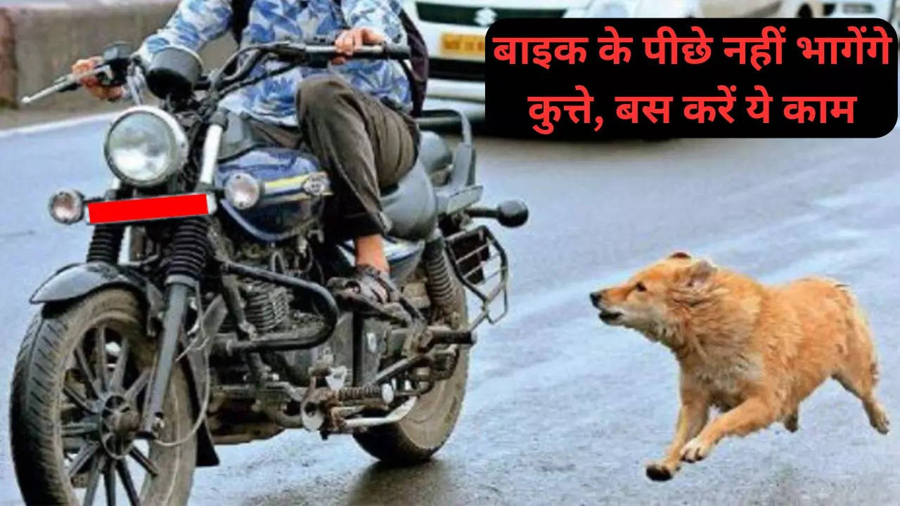 How To Get Rid Of Dogs Chasing Bike