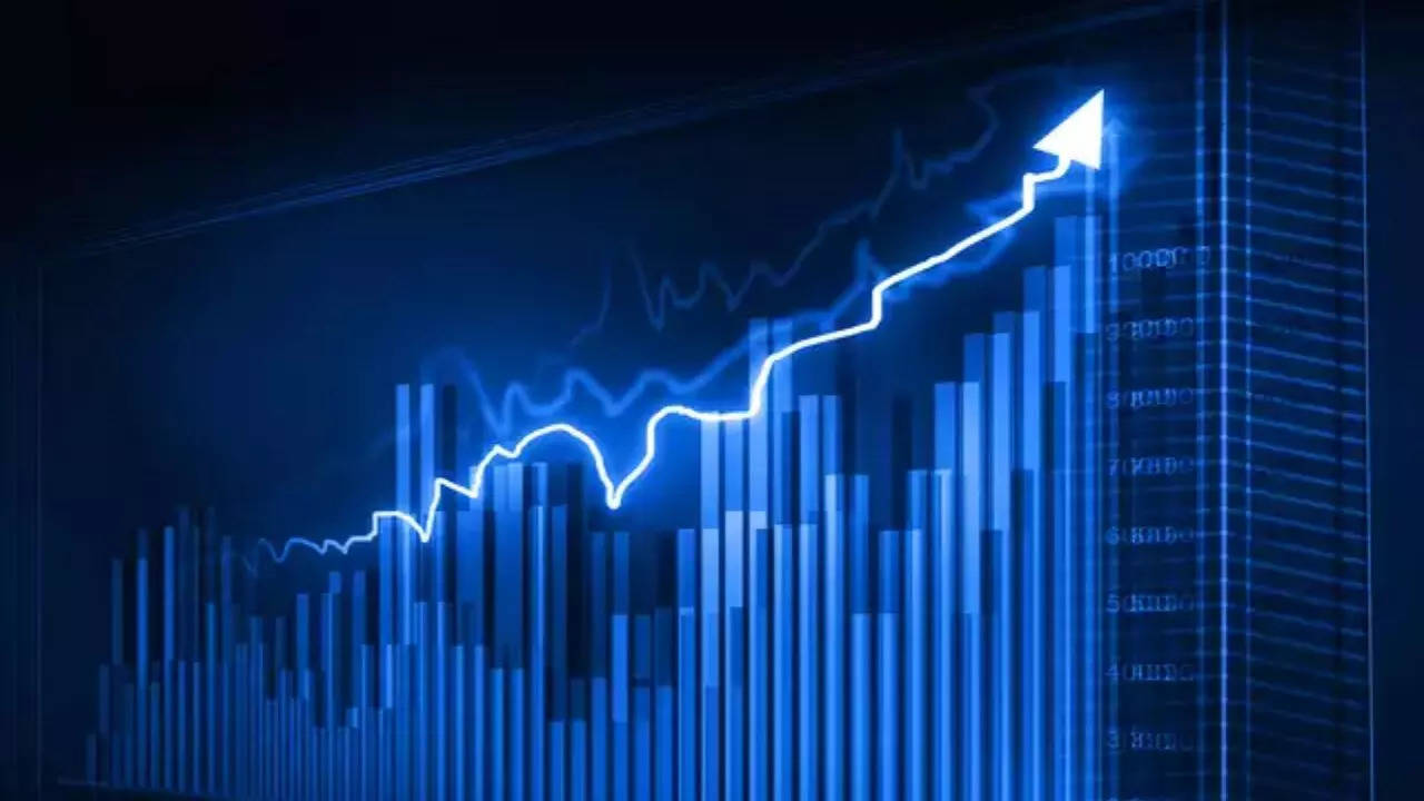 Raj Rayon Industries Share Return