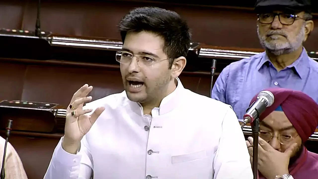 raghav chadha, punjab, rajyasabha