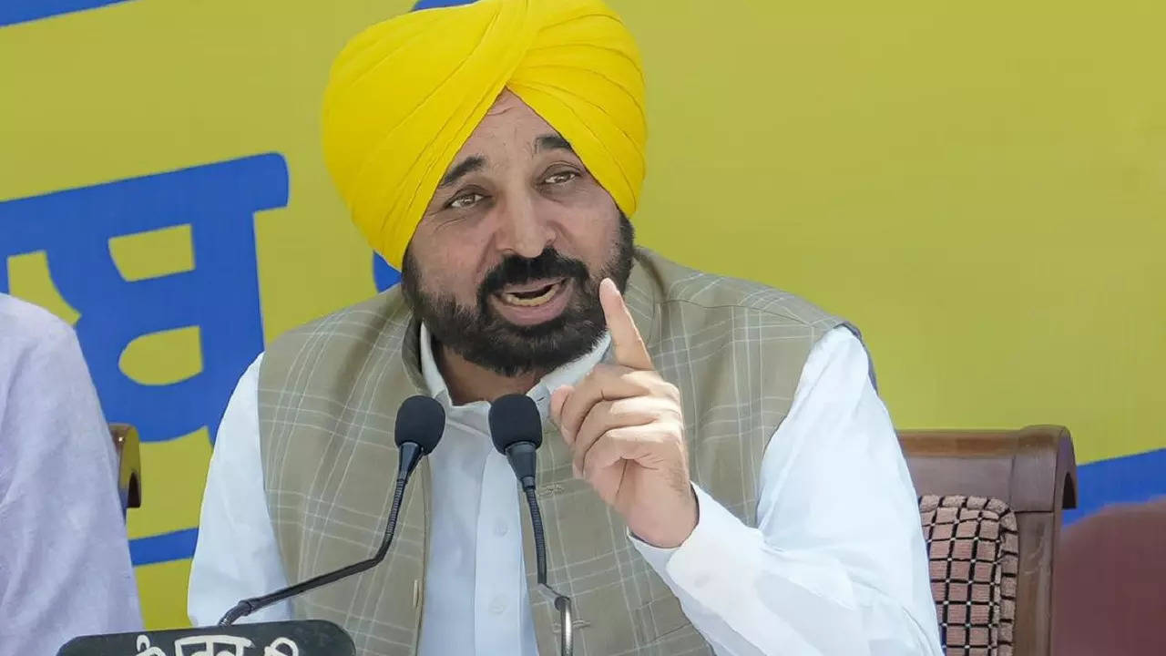 punjab cm, bhagwant mann, punjab news