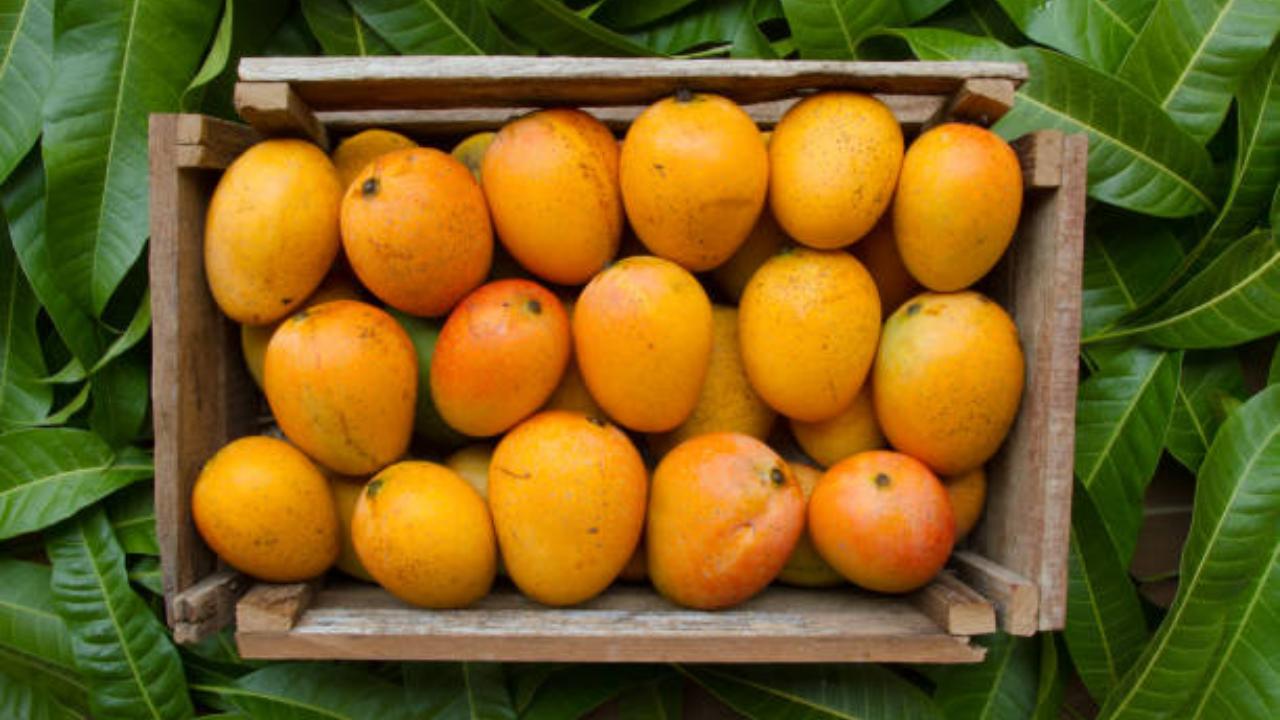 Mango on EMI, EMI, Mango, Alphonso, Alphonso Mango