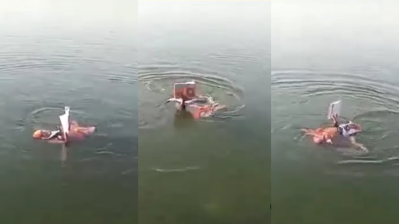 Saint recited Ramcharit Manas while Swimming Viral Video