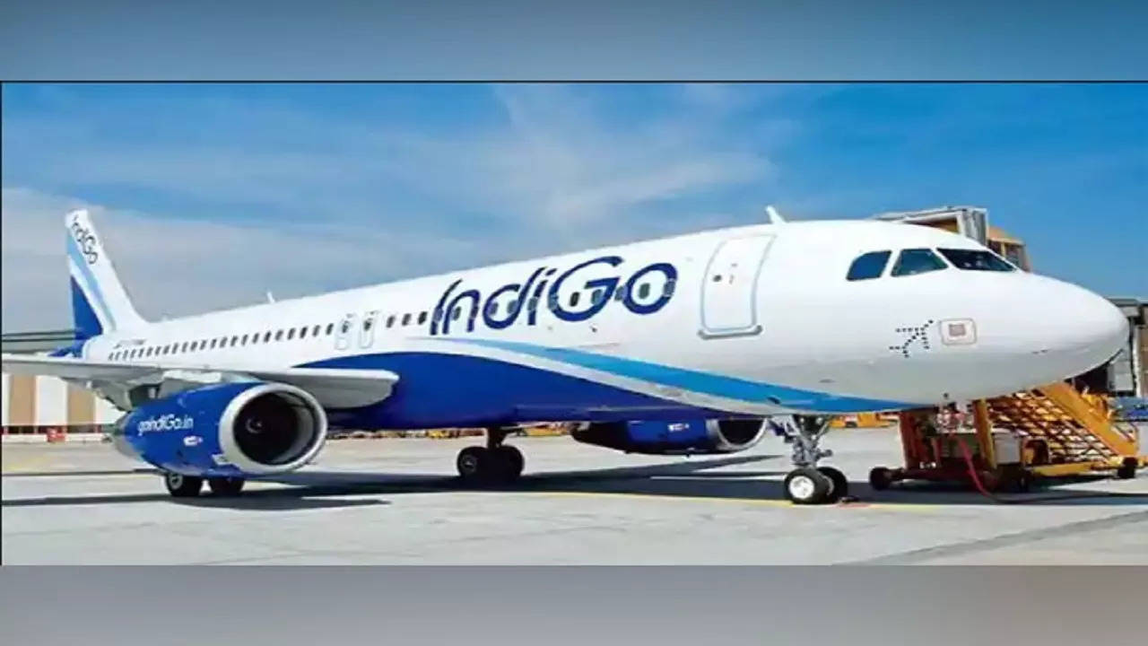 Indigo Flight