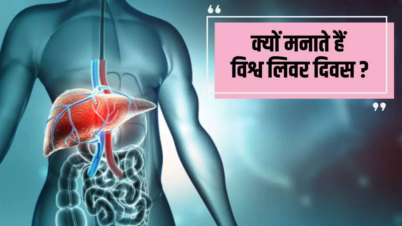 World Liver Day 2023, Liver Health, Liver Disease