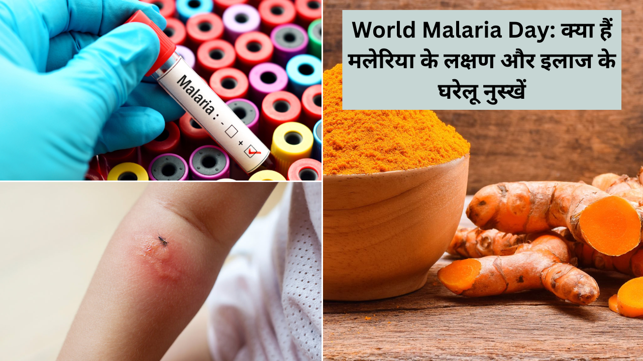 Malaria, malaria symptoms, home remedies to cure malaria 