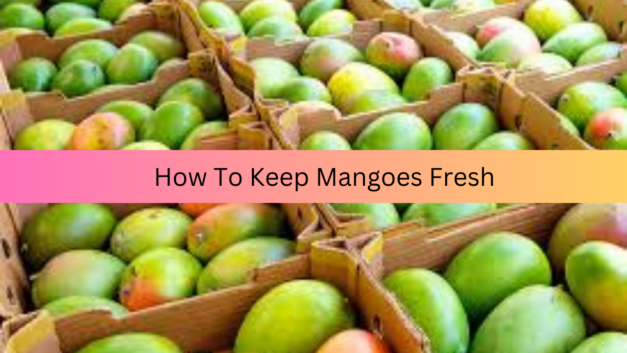 Mangoes Storing Tips In Hindi Simple tricks to store mangoes at home, how to store mangoes for