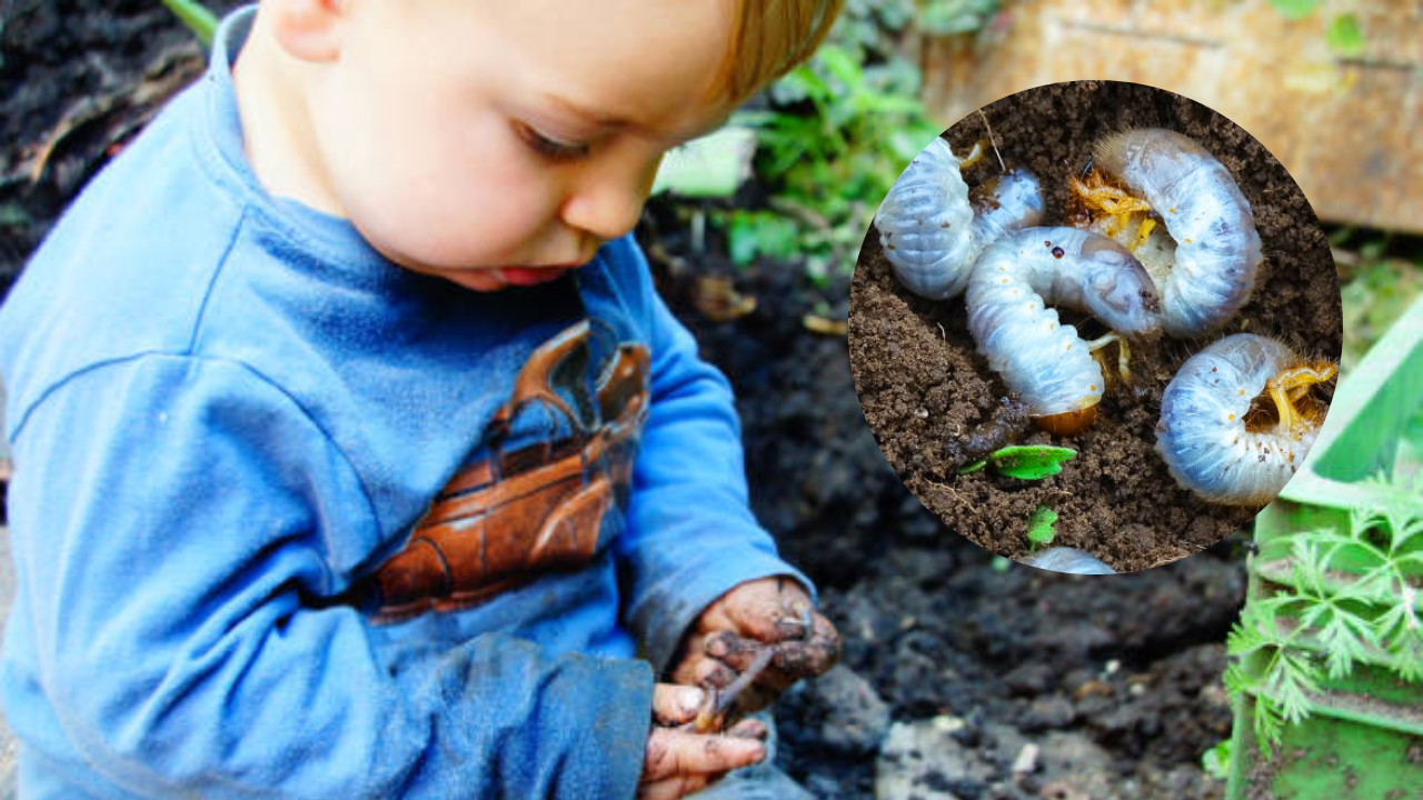 mother feeding worm to child (1)