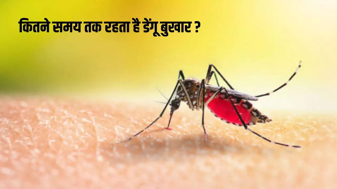 dengue-fever-how-long-does-dengue-fever-last-know-the-home-remedies-to