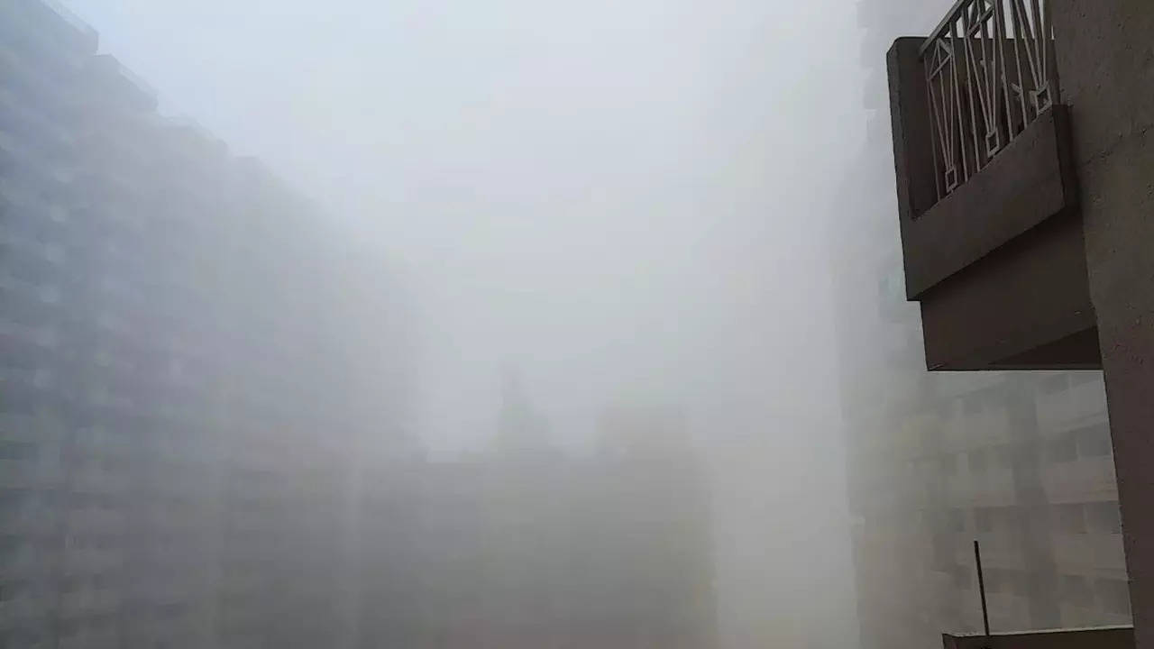 Weather Report, Weather Forecast, fog in Delhi NCR